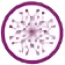 Superior logo